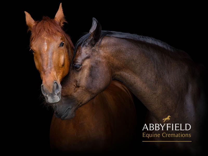 Abbyfield equestrian