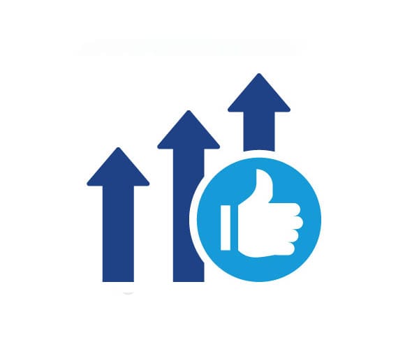 Director Level Support